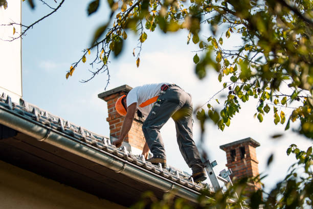 Best Tile Roofing Contractor  in Sudley, VA