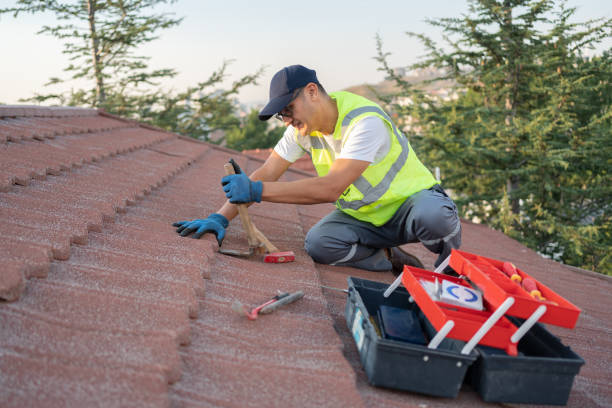 Roof Waterproofing Services in Sudley, VA