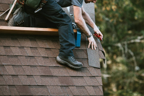 Best Roof Gutter Cleaning  in Sudley, VA